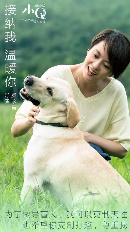 海勒姆学院机械工程文凭证书